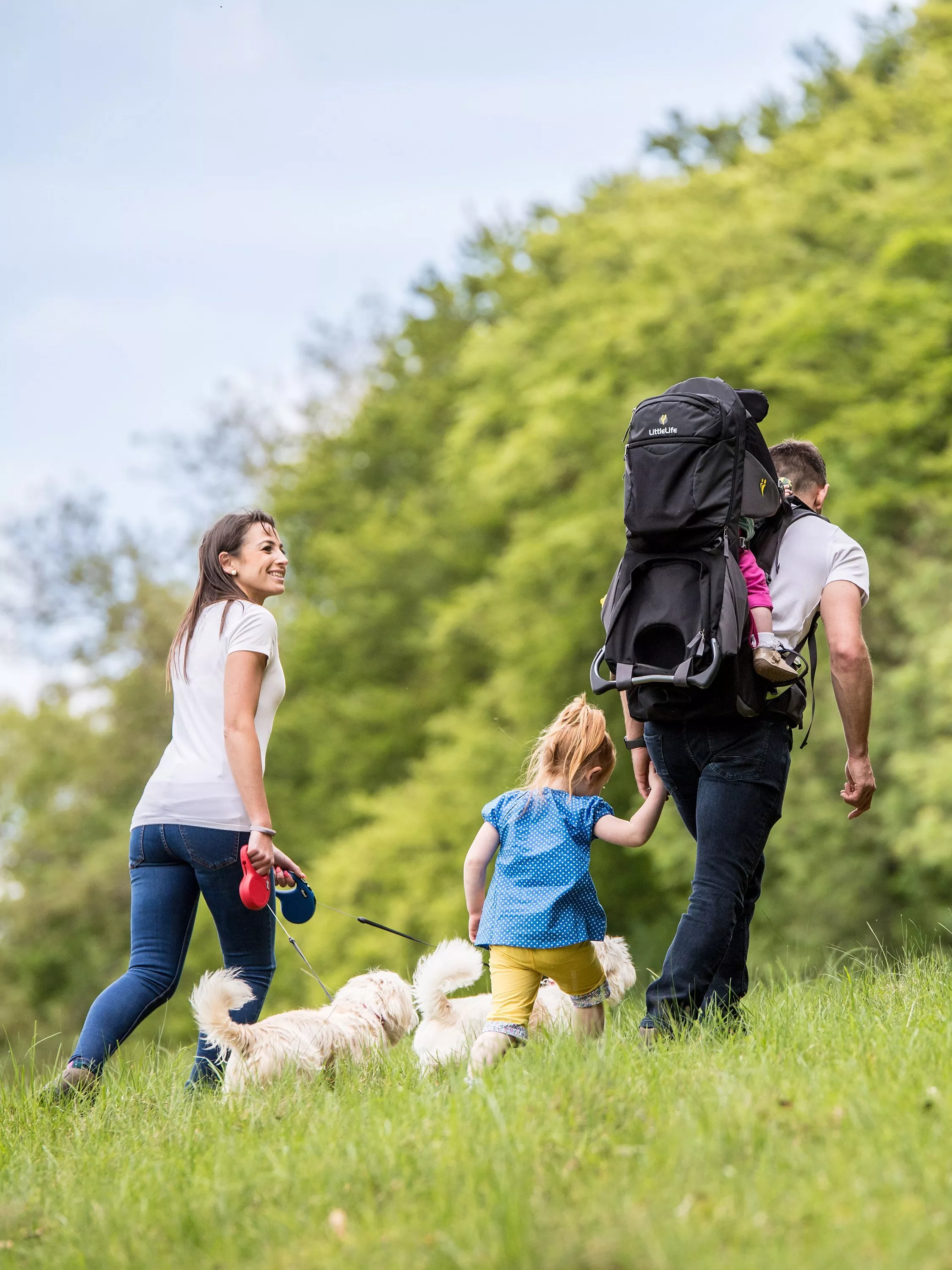 A family with two dogs enjoys a walk in a lush green park. A child is carried in a backpack.