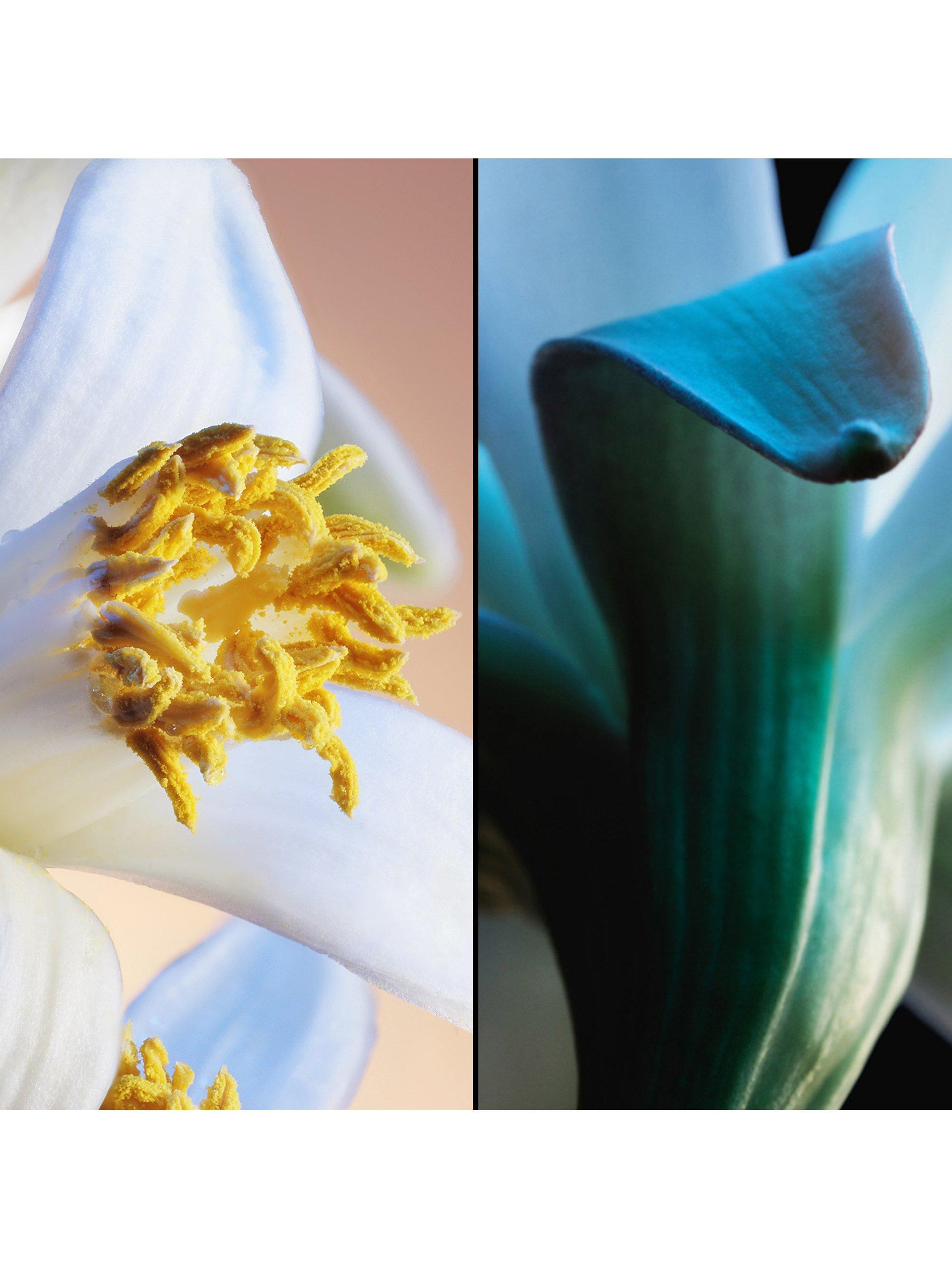 Product image 3 of 8, which shows Guerlain Jardins de Bagatelle Eau de Parfum, 75ml