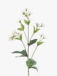 Floralsilk Artificial Astrantia Spray, White