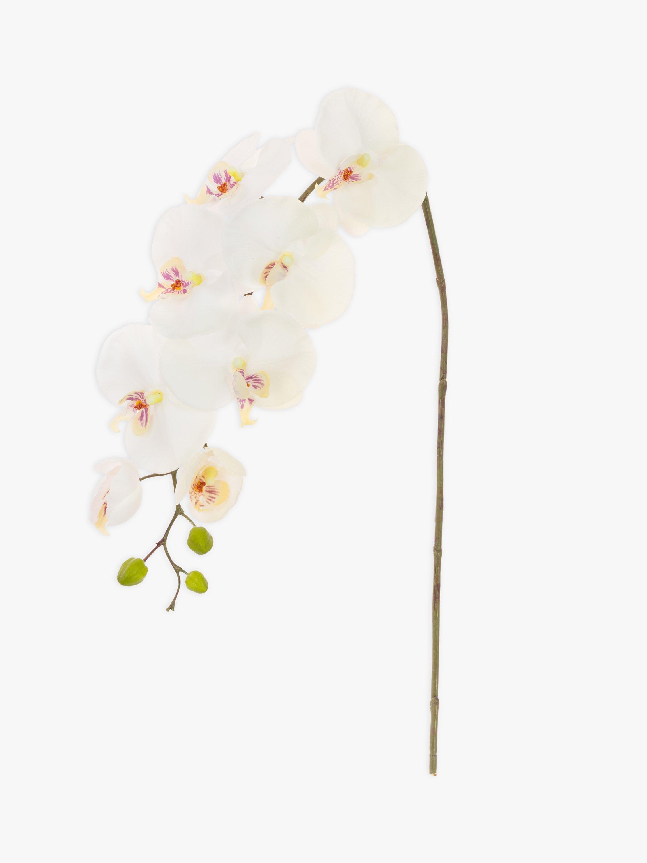 Floralsilk Artificial Phalaenopsis Orchid & Buds, White