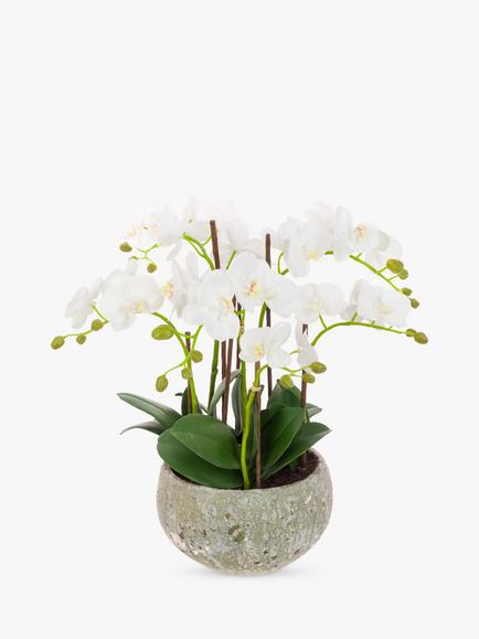 Floralsilk Artificial White Orchid in Clay Pot, 