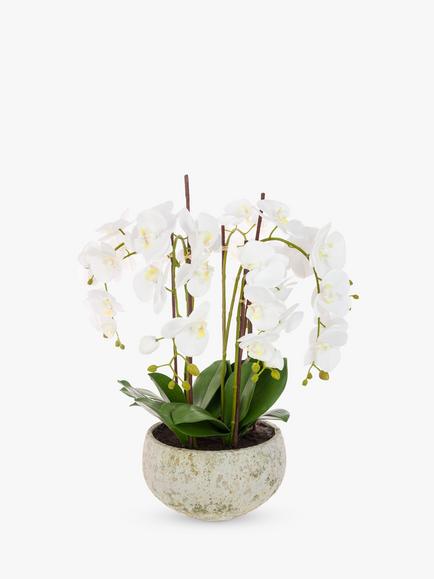 Floralsilk Artificial White Orchid in Clay Pot, White
