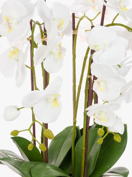 Floralsilk Artificial White Orchid in Clay Pot - view 2, White
