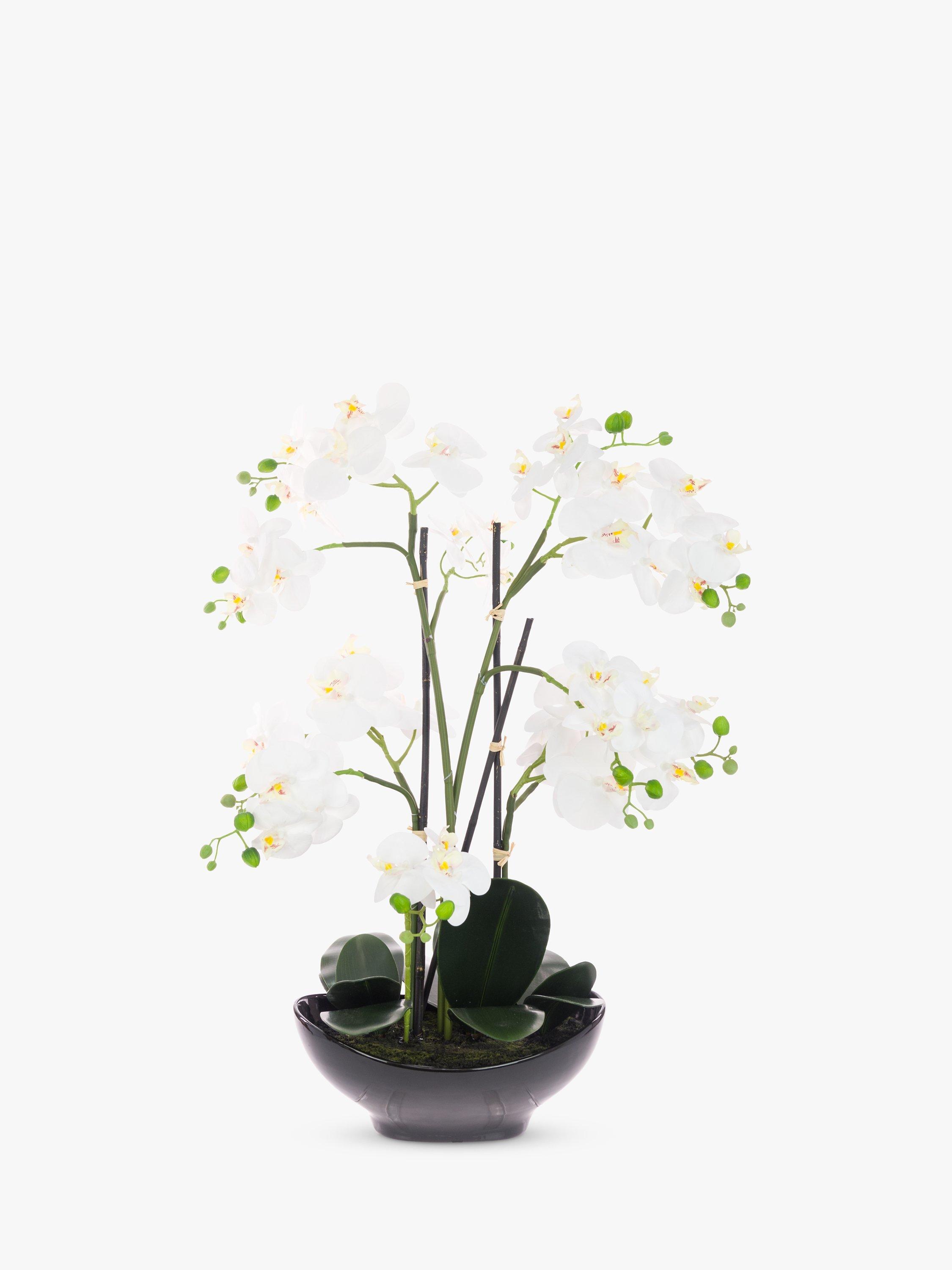 Floralsilk Artificial White Orchid in Black Pot