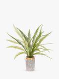 Floralsilk Artificial Large Fern in Gold Top Pot