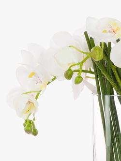 Floralsilk Artificial Contemporary Phalaenopsis Orchid in Glass Vase - view 2, White