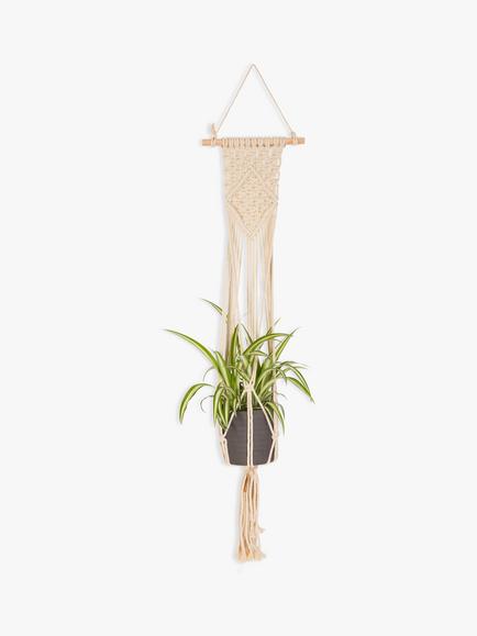 The Little Botanical Macrame & Trailing Plant Set, Multi