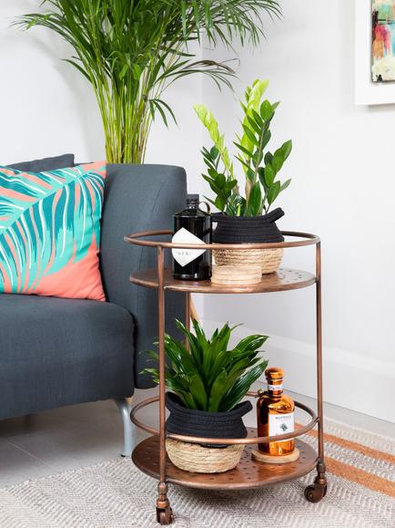 The Little Botanical Easy Care Plant Basket - view 2, Multi