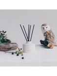 Jo Malone London Wild Berry & Bramble Diffuser + Refill, 350ml