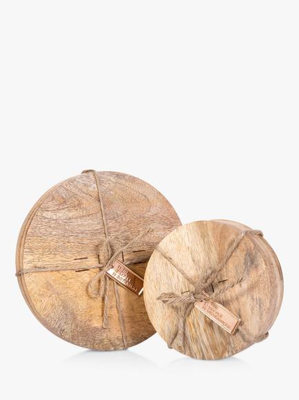 The Little Botanical Mango Plant Coaster Set, Multi