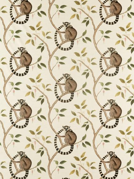 Sanderson Ringtailed Lemur Made to Measure Curtains or Roman Blind, Olive, Olive