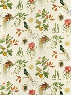 Sanderson Paradesia Made to Measure Curtains or Roman Blind, Orange, Orange