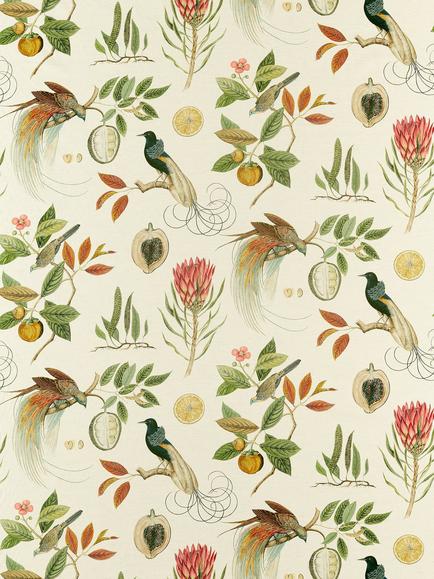 Sanderson Paradesia Made to Measure Curtains or Roman Blind, Orange, Orange