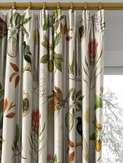 Sanderson Paradesia Made to Measure Curtains or Roman Blind, Orange - view 2, Orange
