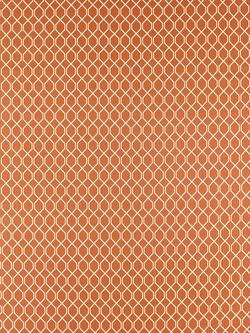 Sanderson Botanic Trellis Made to Measure Curtains or Roman Blinds, Papaya, Papaya