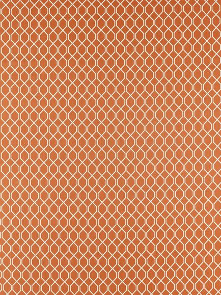 Sanderson Botanic Trellis Made to Measure Curtains or Roman Blinds, Papaya, Papaya