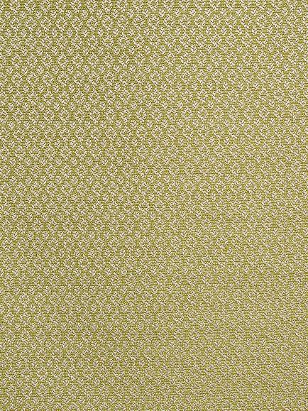 Prestigious Textiles Hardwick Made to Measure Curtains or Roman Blind, Apple, Apple