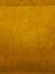 Odyssey Cider colour