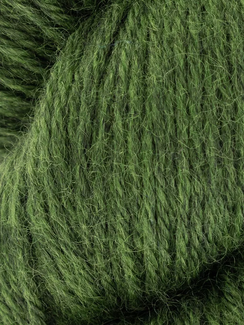 Forest  - Out of stock