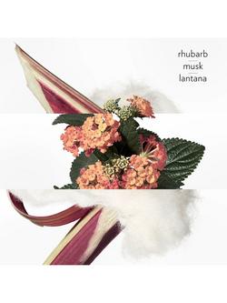 Hermès Eau de Rhubarbe Écarlate Eau de Cologne - view 2, 