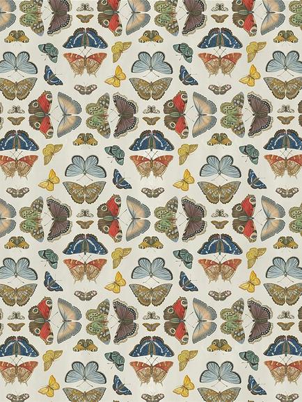 Designers Guild Mirrored Butterflies Made to Measure Curtains or Roman Blind, Parchment, Parchment