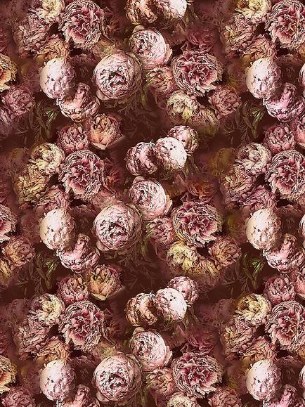 Designers Guild Vespertina Made to Measure Curtains or Roman Blind, Sepia, Sepia
