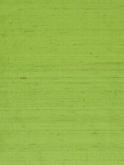 Designers Guild Chinon Made to Measure Curtains or Roman Blind, Fern, Fern