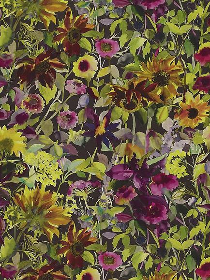 Designers Guild Indian Sunflower Made to Measure Curtains or Roman Blind, Graphite, Graphite