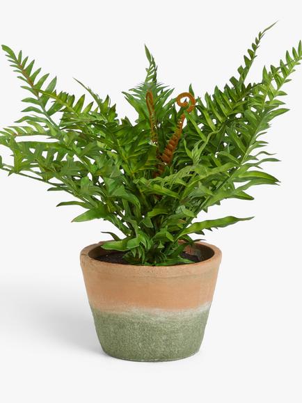 John Lewis Artificial Fern Bush in Terracotta Pot - view 2, Multi Multi