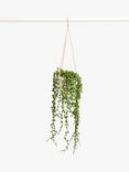 John Lewis Artificial Pearls Hanging Plant