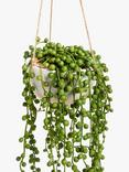 John Lewis Artificial Pearls Hanging Plant