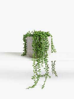 John Lewis Artificial Nickels in Grey Pot, Multi