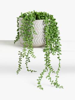 John Lewis Artificial Nickels in Grey Pot - view 2, Multi