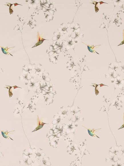 Harlequin Amazilia Furnishing Fabric, Powder