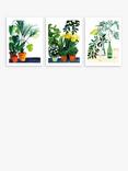 John Lewis Marta Chojnacka 'Botanical' Unframed Print, Set of 3, 40 x 30cm, Green
