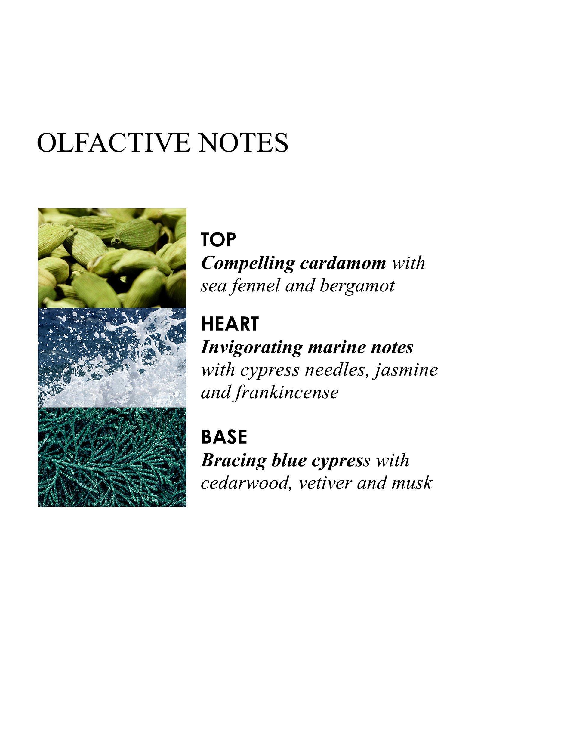 Product image 2 of 3, which shows Coastal Cypress & Sea Fennel Bath & Shower Gel Refill, 400ml