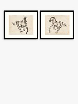 John Lewis Jennifer Paxton Parker 'Gestural Appaloosa' Framed Print & Mount, Set of 2, 53.5 x 63.5cm, Black, Black