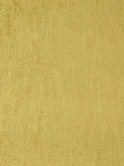 Hardy Assisi Furnishing Fabric, Gold