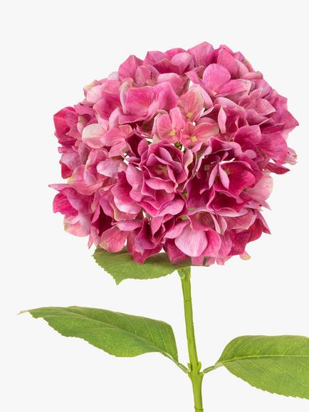 Floralsilk Artificial French Hydrangea - view 2, Pink