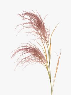 Floralsilk Artificial Pampas Reed, Burgundy