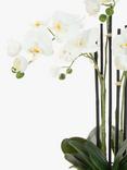 Floralsilk Artificial White Orchid in Geometric Pot