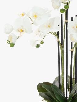 Floralsilk Artificial White Orchid in Geometric Pot - view 2, Multi