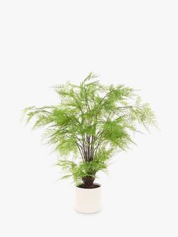 Floralsilk Artificial Fern in Cement Pot, Multi