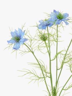 Floralsilk Artificial Nigella Love Mist - view 2, Multi