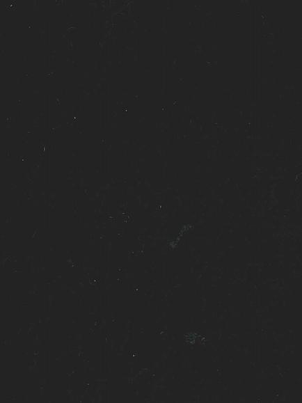 Hardy Venice Furnishing Fabric, Black