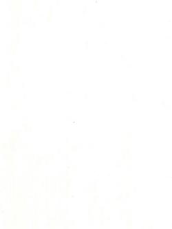 Hardy Venice Furnishing Fabric, White