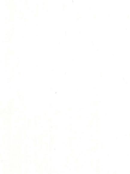 Hardy Venice Furnishing Fabric, White