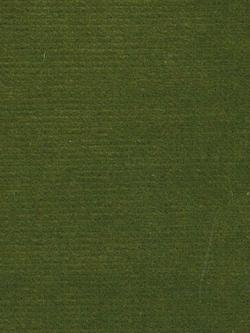 Hardy Venice Furnishing Fabric, Fern