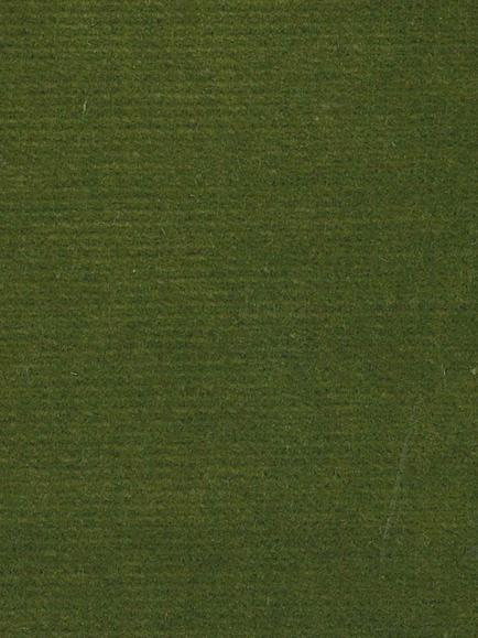 Hardy Venice Furnishing Fabric, Fern