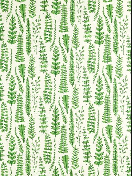 Scion Ferns Furnishing Fabric, Juniper, Juniper